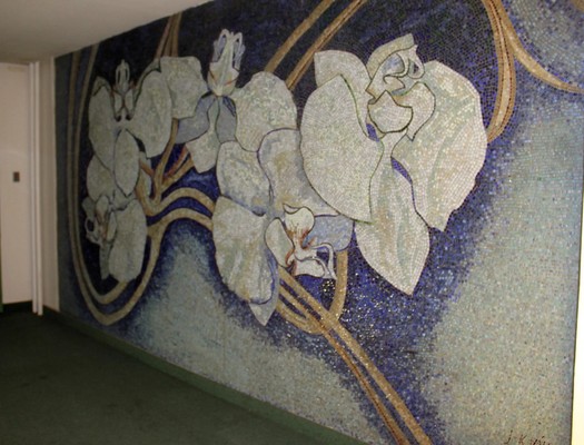 Městská galerie v Praze řeší, jak zachránit Orchideje ... Obrázek 1